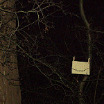 4131834076_d043dbc0f9_q